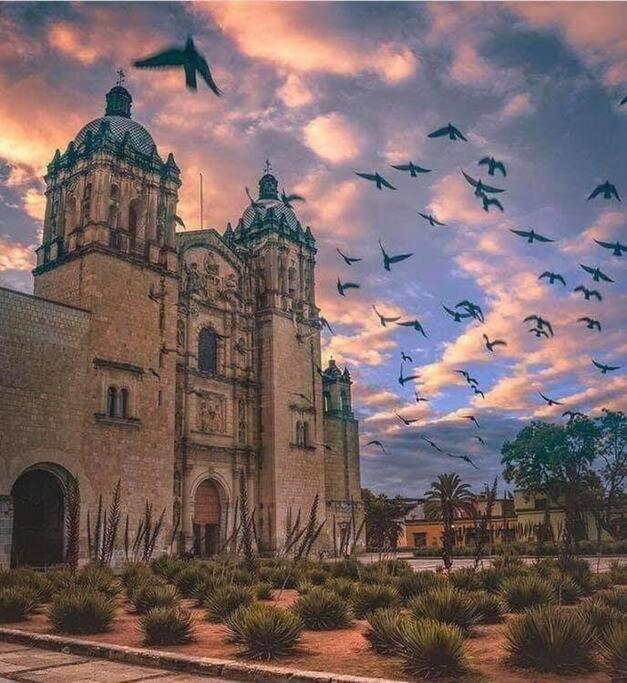 M1010 - The Best Place To Enjoy Oaxaca Zewnętrze zdjęcie